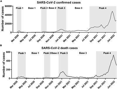 High Level of SARS-CoV-2 Infection in Young Population Is a Predictor for Peak Incidence